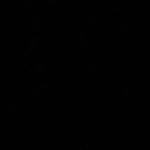 Meet your Posher, Ivy